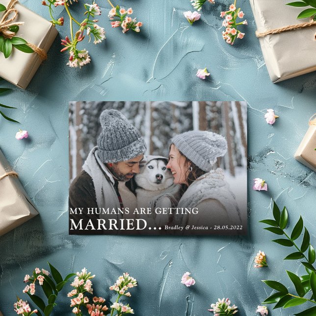 Cute 'Dog Owners' Photo Engagement Wedding  Save The Date (Creator Uploaded)