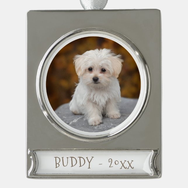 Cute Dog Pet Photo Holidays Christmas Silver Plated Banner Ornament (Front)