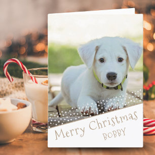 Cute Dog Pet Photo Stars Merry Christmas  Holiday Card