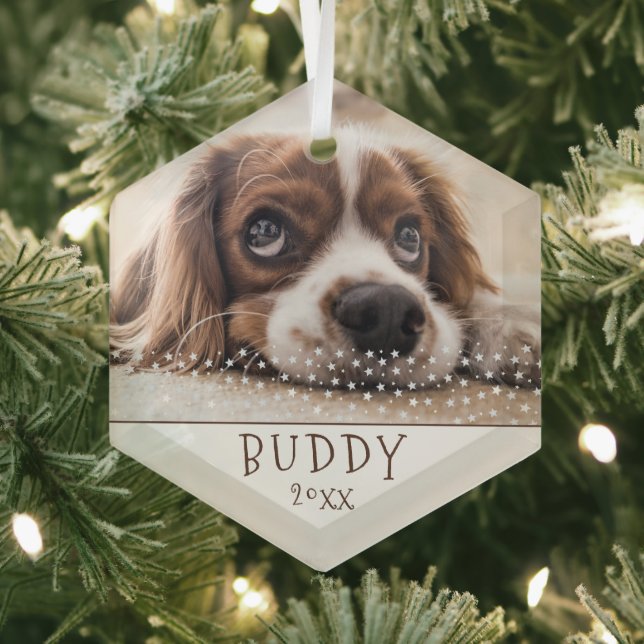 Cute Dog Pet Photo White Stars Christmas Glass Tree Decoration (Insitu)