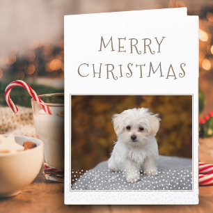 Cute Dog Pet Photo White Stars Merry Christmas  Holiday Card