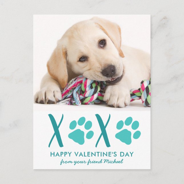 Cute Dog Pet Photo XOXO Valentine's Day Card (Front)