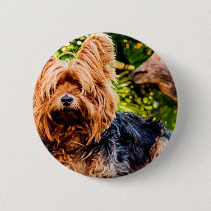 Cute Dog Pet Yorkie Peace Love Destiny Fun Art 6 Cm Round Badge