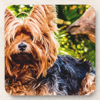 Cute Dog Pet Yorkie Peace Love Destiny Fun Art Coaster