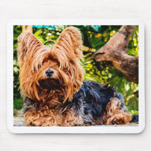 Cute Dog Pet Yorkie Peace Love Destiny Fun Art Mouse Pad