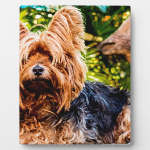 Cute Dog Pet Yorkie Peace Love Destiny Fun Art Plaque