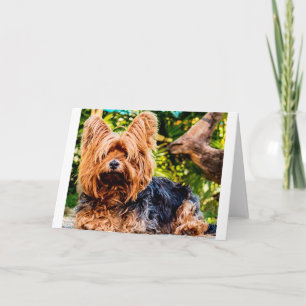 Cute Dog Pet Yorkie Peace Love Destiny Fun Art Thank You Card