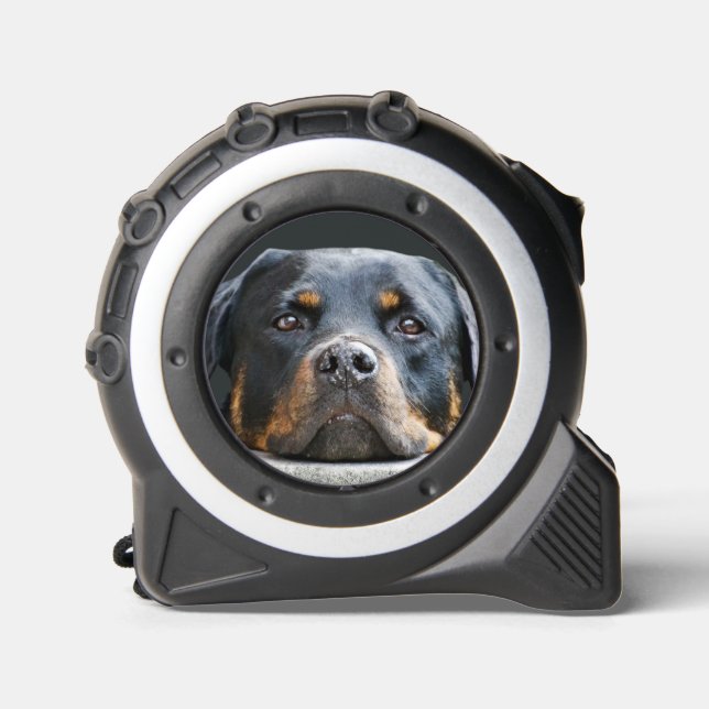 Cute Dog Photo  1 (Front)