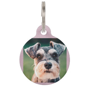 Cute Dog Photo and QR Code Pink Dog Pet ID Tag