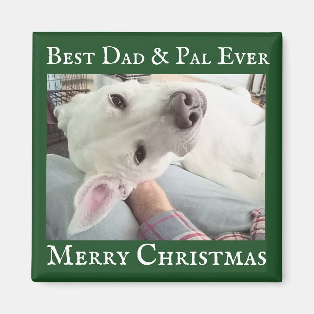 Cute Dog Photo Best Dad Pal Green and White  Magnet (Front)