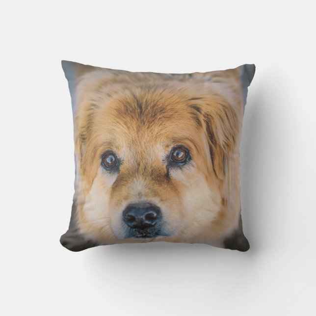 Cute Dog Photo Cushion (Front)