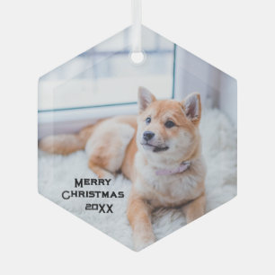 Cute Dog Photo Glass Ornament Christmas Holidays