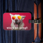 Cute Dog Photo Luggage Tag<br><div class="desc">"Where we going?" text over a cute dog photo (can be changed to your dog) on a fun luggage tag with a slot for a business card on the back.</div>