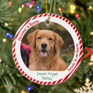 Cute Dog Photo Pet Memorial Keepsake Christmas Ceramic Tree Decoration