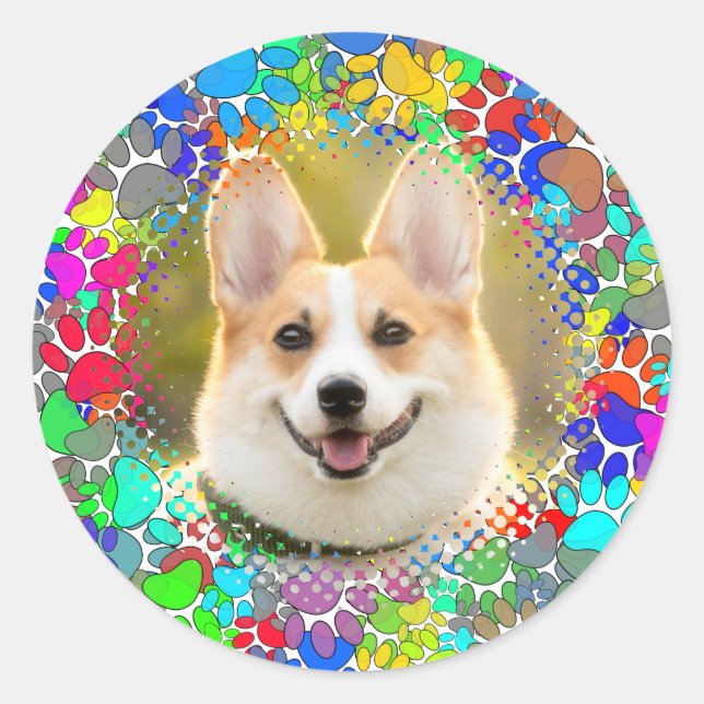 Cute Dog Picture Paw Print Pattern Custom  Classic Round Sticker (Front)