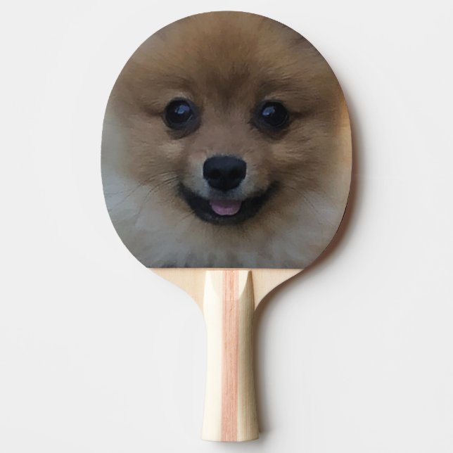 Cute dog, ping pong paddle (Front)