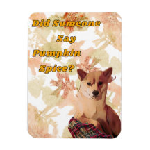Cute Dog Pumpkin Spice Magnets