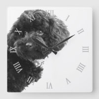 © Cute Dog Puppy Black and White/Photography
