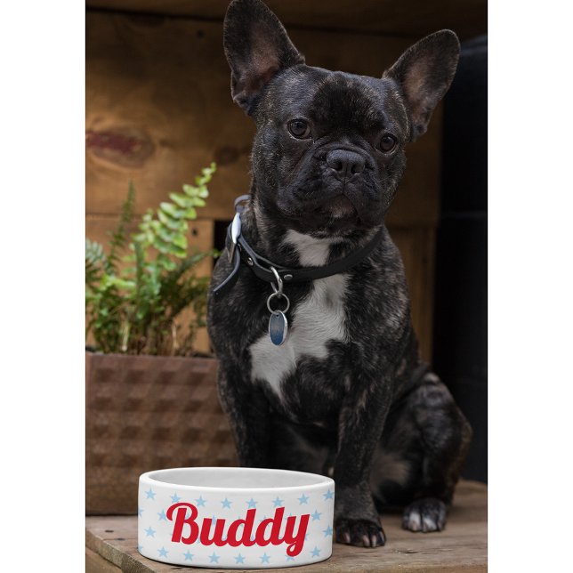 Cute Dog Puppy Cat Kitty Pet Name Blue Stars Food Bowl (Cute Dog Puppy Cat Kitty Pet Name Blue Stars Food Bowl)