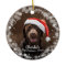 Cute Dog Puppy Pet First Christmas Photo Snowflake