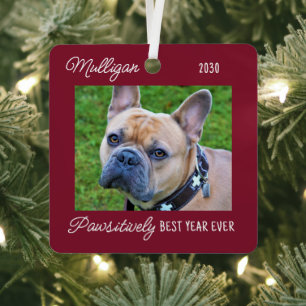 Cute Dog Quarantine Christmas Red Pet Photo Metal Tree Decoration