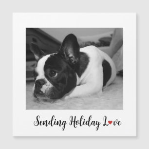 Cute Dog Sending Holiday Love