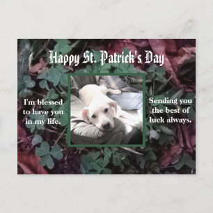 Cute Dog Sitting With Dad His Best Friend Green Postcard