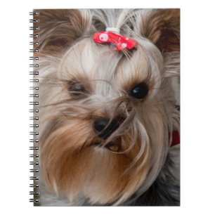 Cute dog spiral notebook