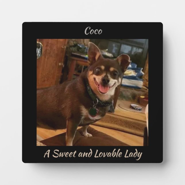 Cute Dog Square Plaque (Front)