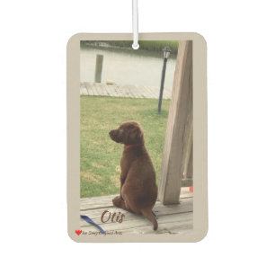 Cute Dog Surveying Backyard and Creek Car Air Freshener