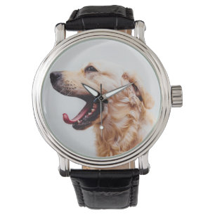 Cute Dog watches