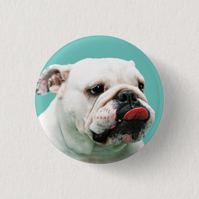 Cute dog white Bulldog 3 Cm Round Badge (Front)