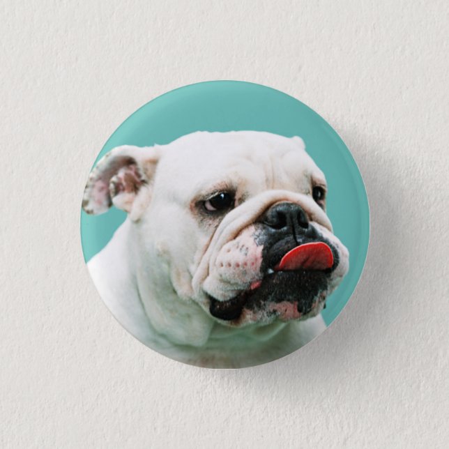 Cute dog white Bulldog 3 Cm Round Badge (Front)
