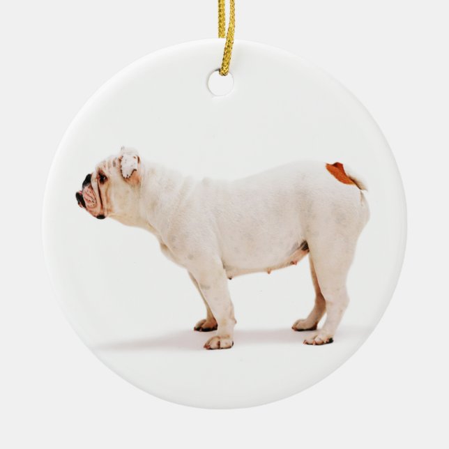 Cute dog white Bulldog Ceramic Tree Decoration (Front)