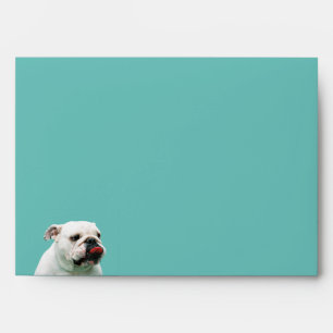 Cute dog white Bulldog Envelope
