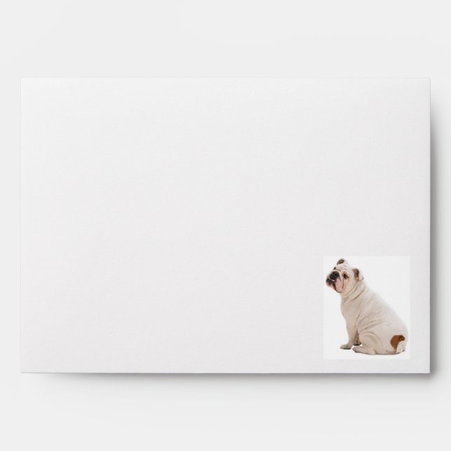 Cute dog white bulldog envelopes (Front)
