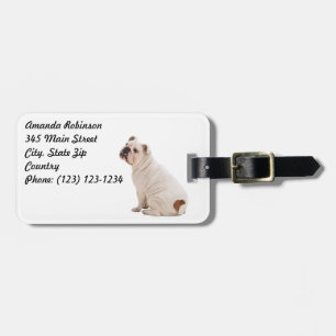 Cute dog white bulldog luggage tag
