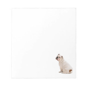 Cute dog white bulldog notepad