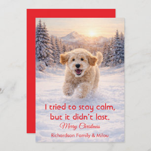 Cute Dog with Christmas Funny Quote Holiday Card