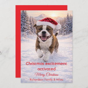 Cute Dog with Christmas Funny Quote Holiday Card