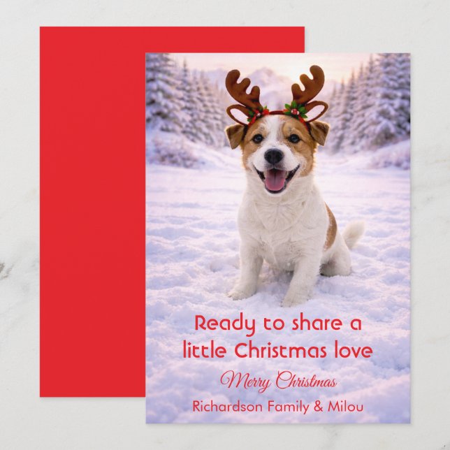 Cute Dog with Christmas Tender Quote  Holiday Card (Front/Back)