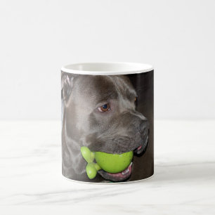 Cute Dog with Green Ball Coffee Mug