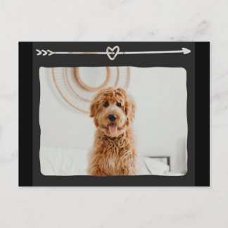 Cute Dog with Heart and Arrow Design Postcard