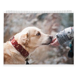 Cute Dogs and Beautiful Puppies Pets 2025  Calendar