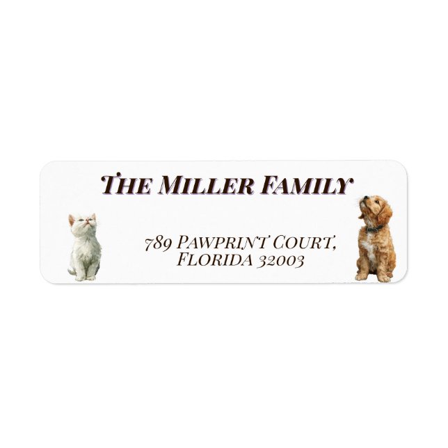 Cute dogs and cats look up Personalized (Front)