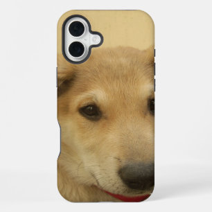 Cute Dogs and Puppies Mans second Best Friend. iPhone 16 Plus Case