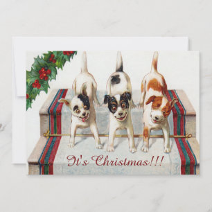 Cute Dog's Christmas Party Invitation