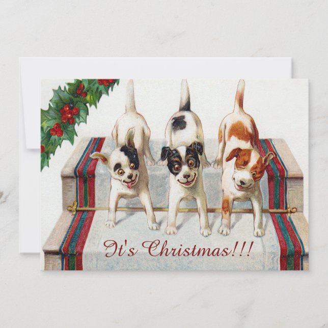 Cute Dog's Christmas Party Invitation (Front)