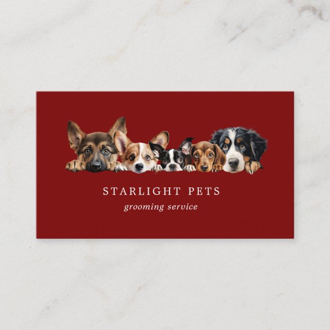 Cute Dogs Grooming Service Business Card (Front)