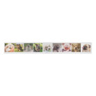 Cute Dogs OR YOUR PHOTOS custom ribbon